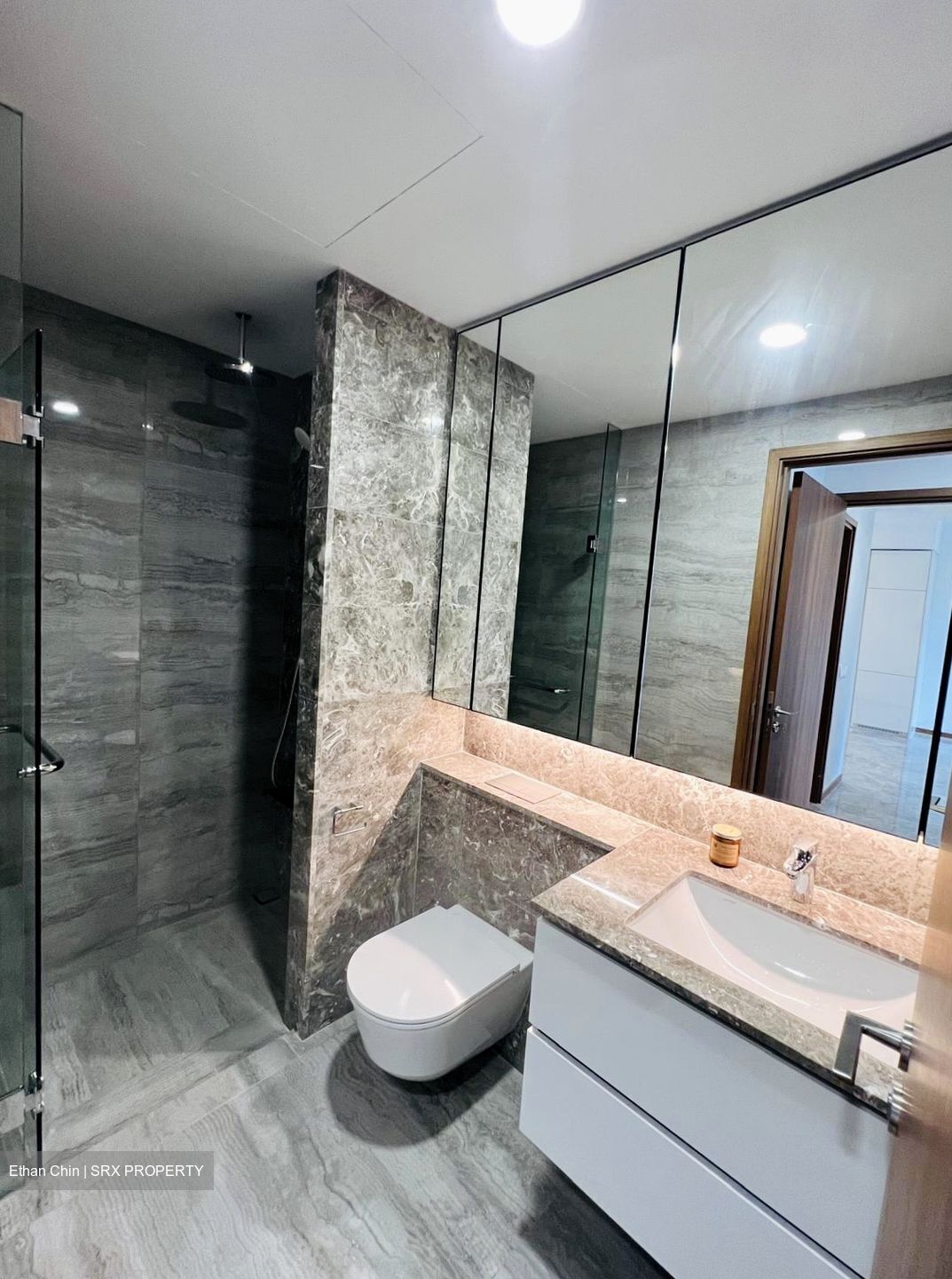 Fourth Avenue Residences (D10), Apartment #560776851